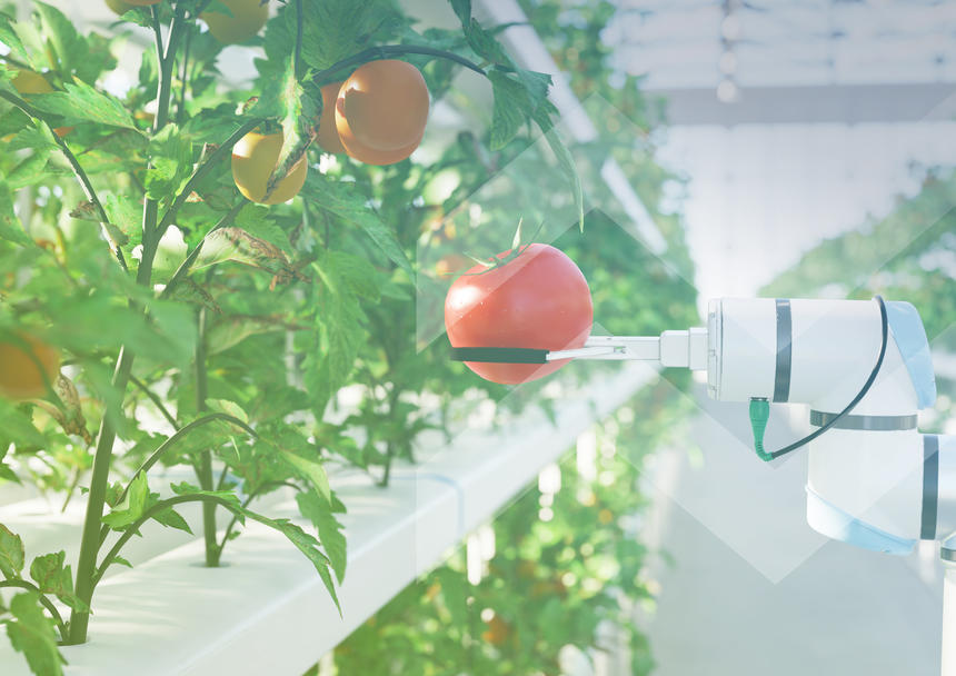 2025年的农业科技：增长定位